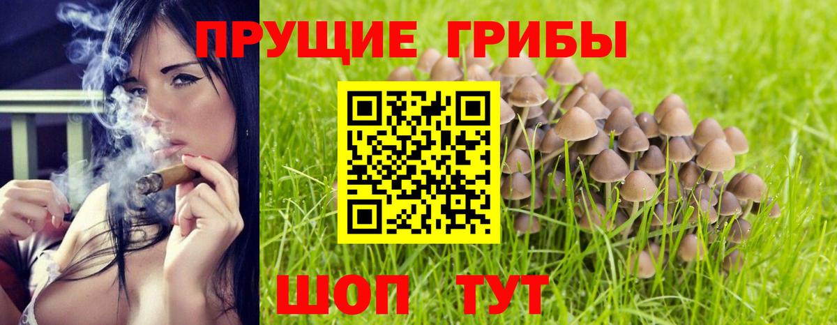 Псилоцибиновые грибы прущие грибы  Вход с VPN  купить наркотик  Боровичи 