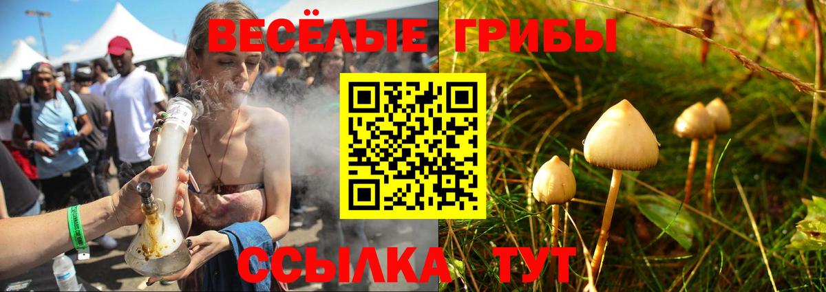 Псилоцибиновые грибы GOLDEN TEACHER Боровичи